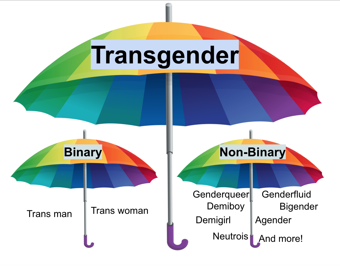 Transgender umbrella split in to Binary - Trans woman and Trans man, and Non-Binary -
Genderqueer, Genderfluid, Demiboy, Bigender, Demigirl, Agender, Neutrois, And more!