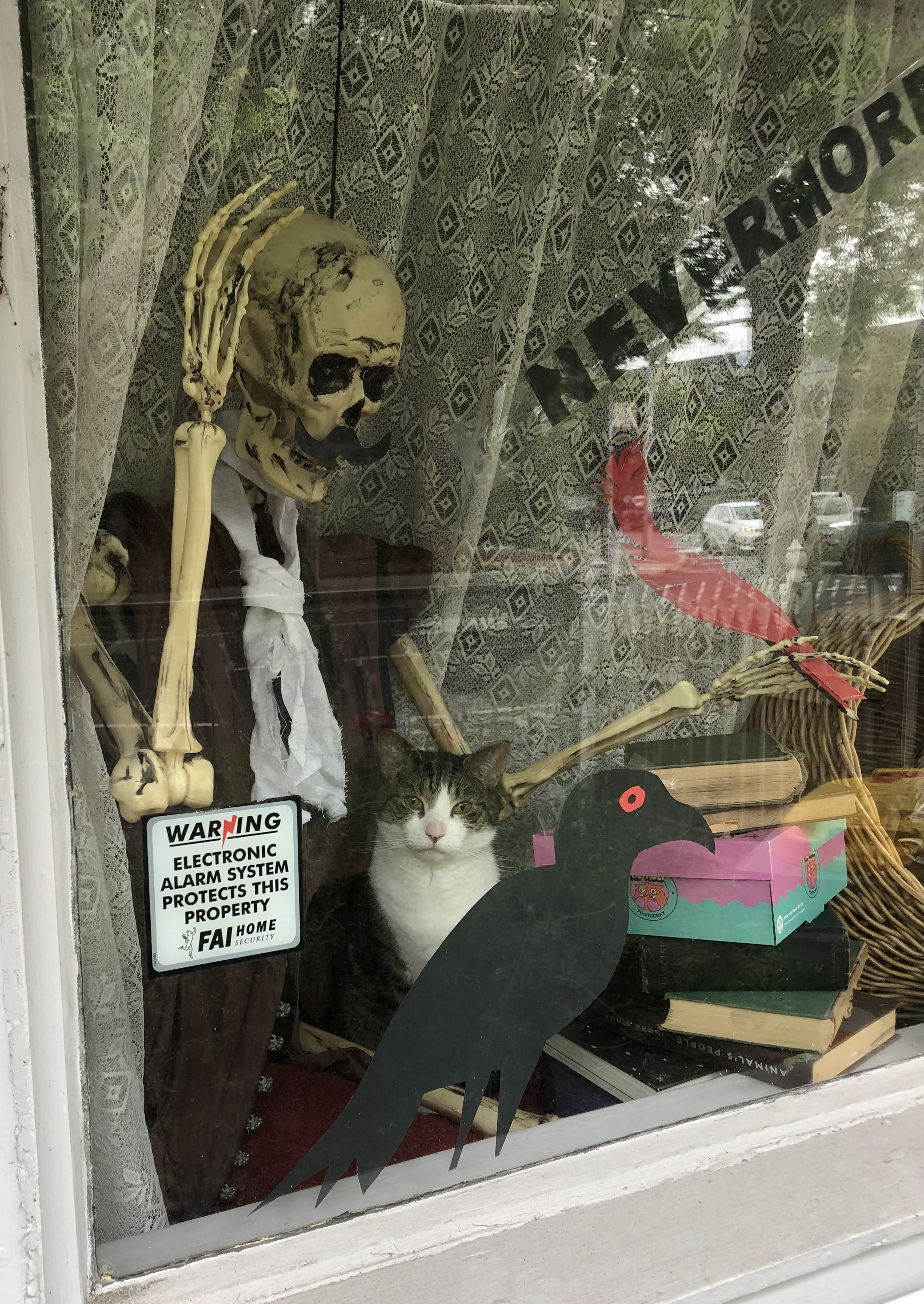 Poe Halloween window