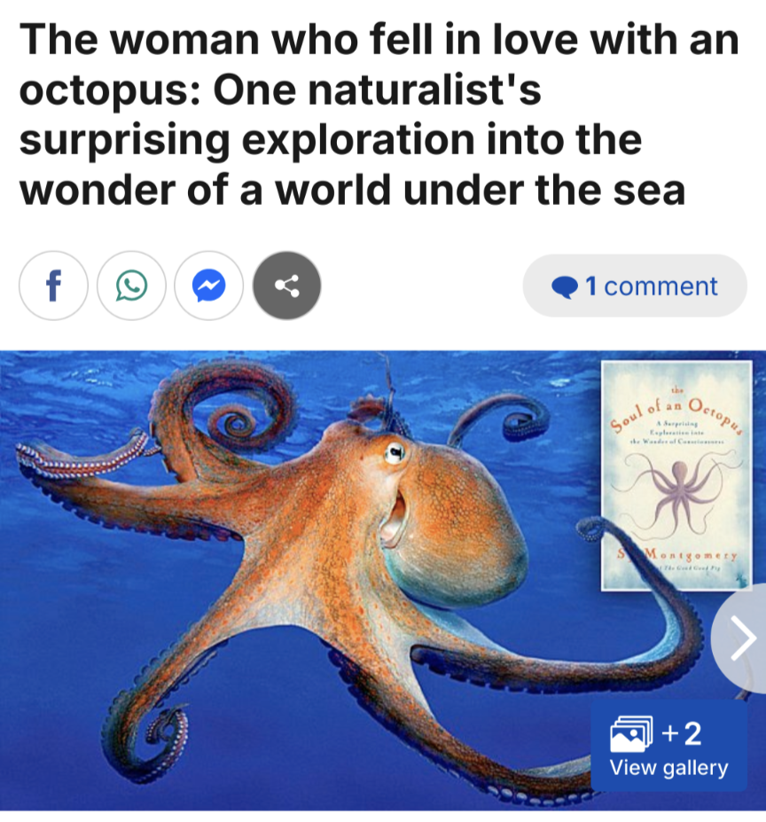 daily mail book review headline: "the woman who fell in love with an octopus"