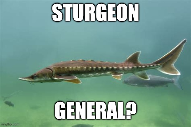 Sturgeon General?