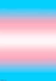 Trans Pride Flag as a Gradient