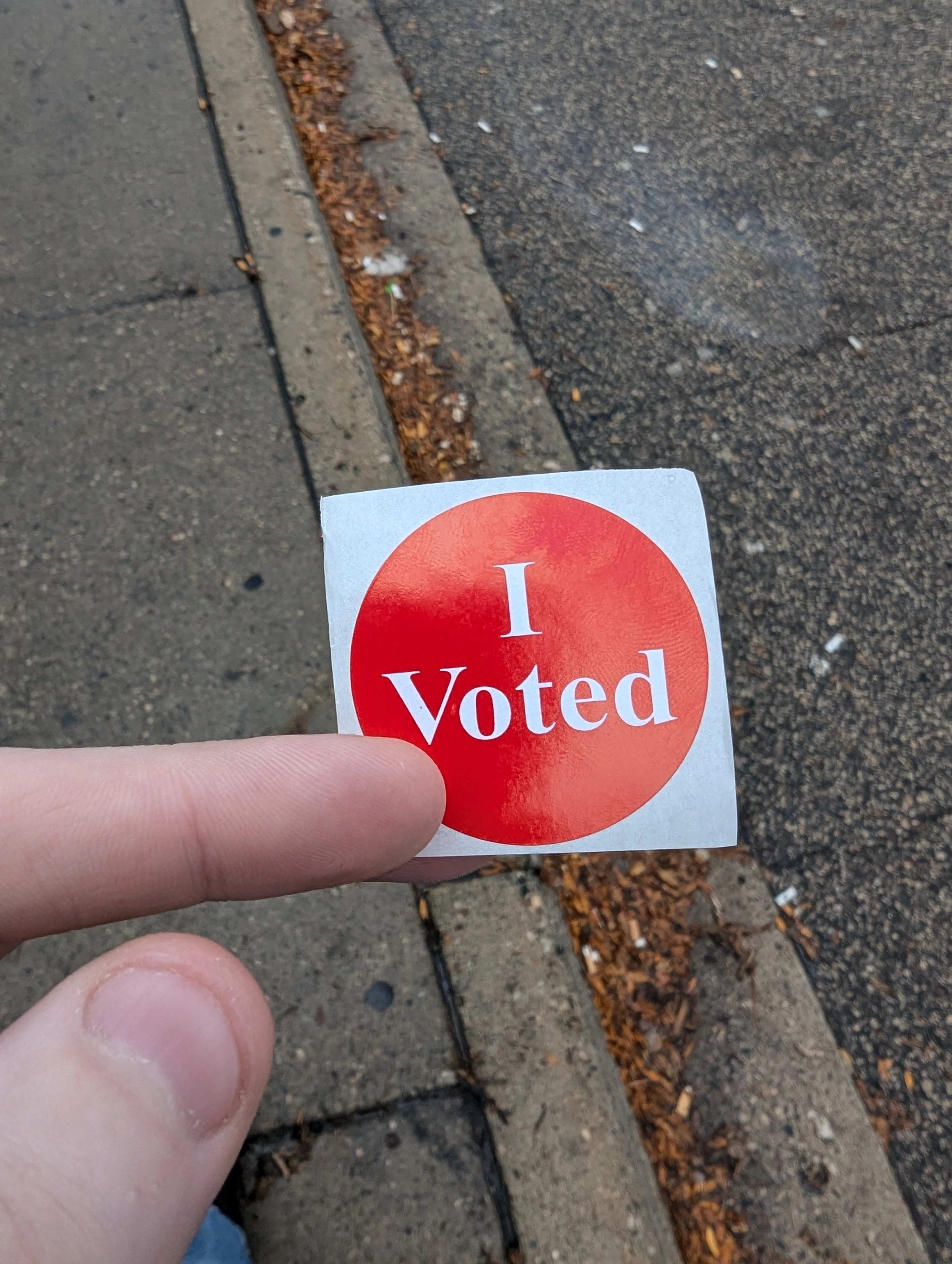 I voted