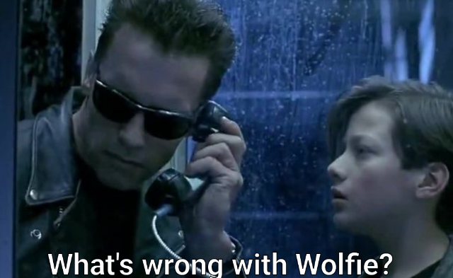 T-800 asking "What's wrong with Wolfie?" over the phone to determine if the T-1000 has replaced the mother